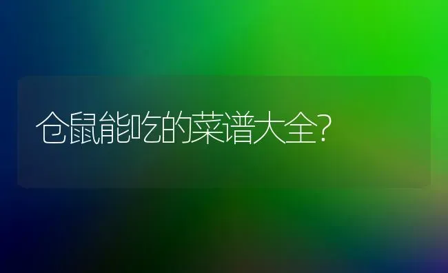 仓鼠能吃的菜谱大全？ | 动物养殖问答