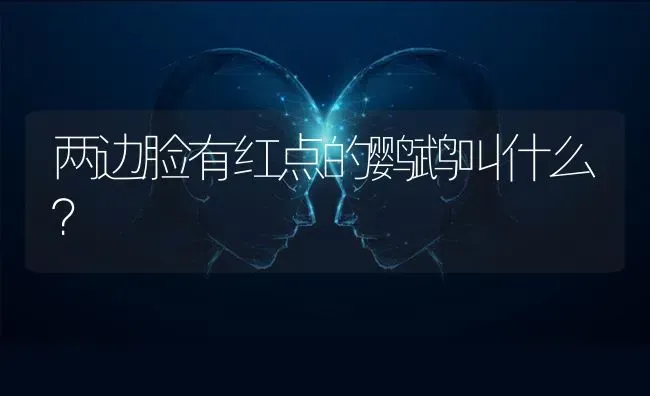 两边脸有红点的鹦鹉叫什么？ | 动物养殖问答