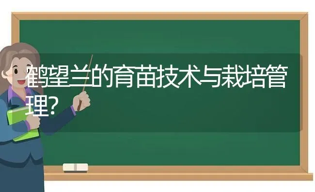 鹤望兰的育苗技术与栽培管理？ | 动物养殖问答