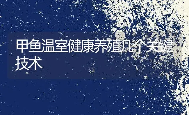 甲鱼温室健康养殖几个关键技术 | 动物养殖教程