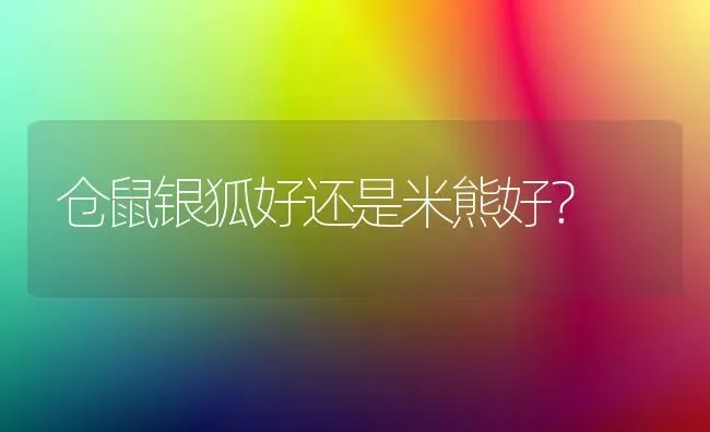 仓鼠银狐好还是米熊好？ | 动物养殖问答