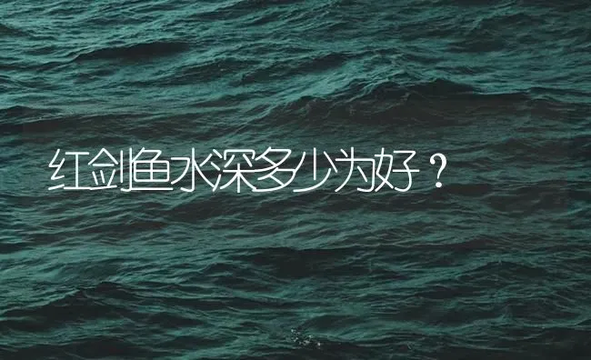 仓鼠是自然物吗？ | 动物养殖问答