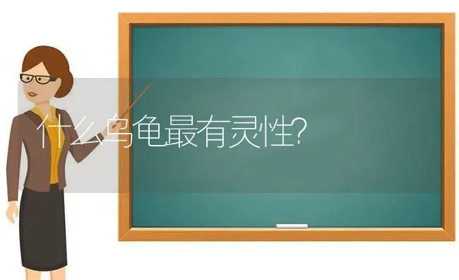 什么乌龟最有灵性？ | 动物养殖问答