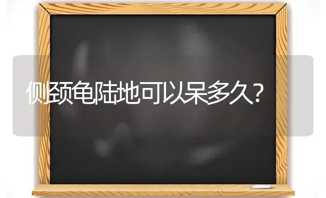 侧颈龟陆地可以呆多久？ | 动物养殖问答