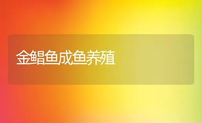 金鲳鱼成鱼养殖 | 淡水养殖技术