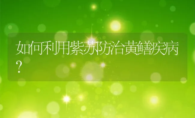 如何利用紫苏防治黄鳝疾病？ | 水产养殖知识