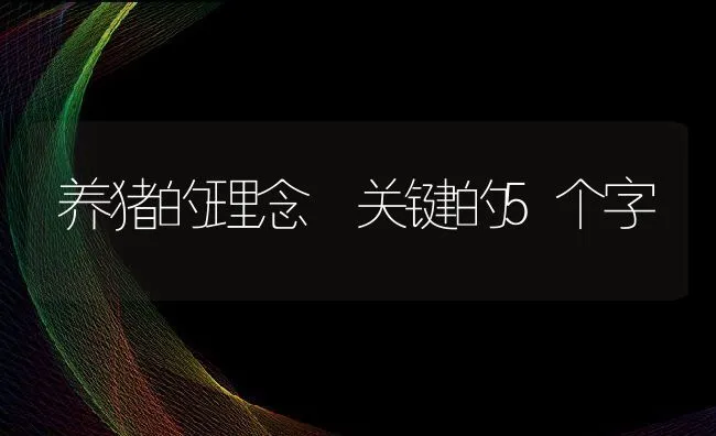 养猪的理念 关键的5个字 | 动物养殖学堂