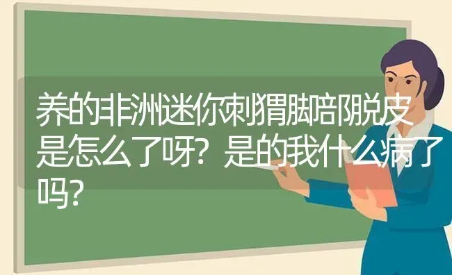 养的非洲迷你刺猬脚部脱皮是怎么了呀？是的我什么病了吗？ | 动物养殖问答