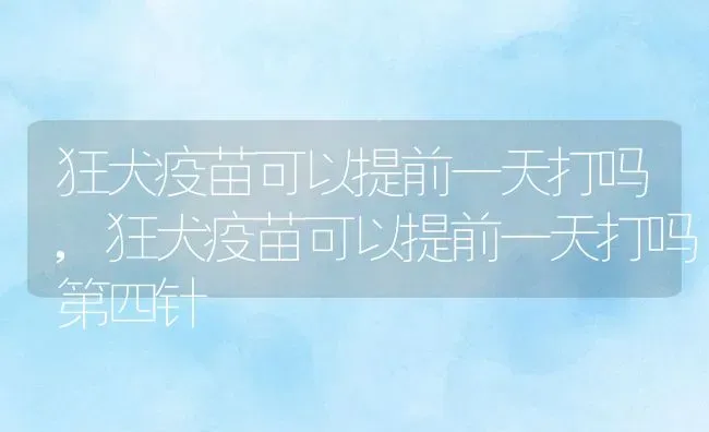 狂犬疫苗可以提前一天打吗,狂犬疫苗可以提前一天打吗第四针 | 宠物百科知识