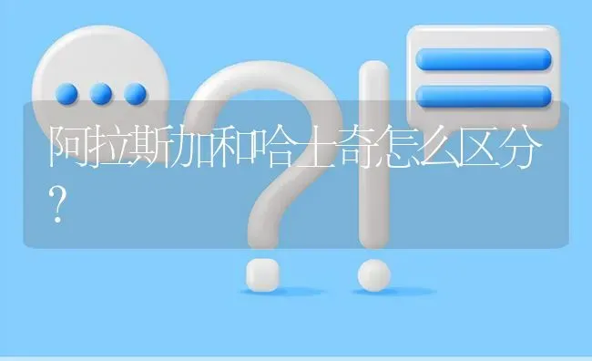 阿拉斯加和哈士奇怎么区分？ | 动物养殖问答