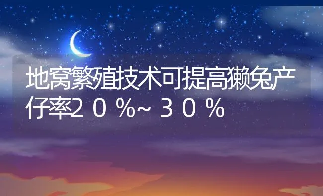 地窝繁殖技术可提高獭兔产仔率20%~30% | 动物养殖学堂