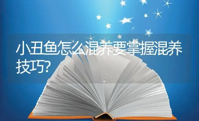 小丑鱼怎么混养要掌握混养技巧？ | 鱼类宠物饲养