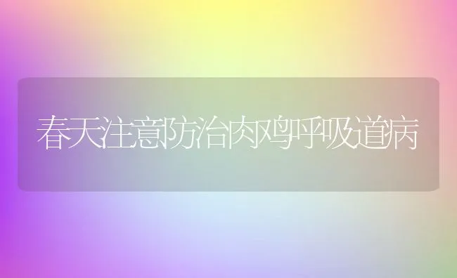 春天注意防治肉鸡呼吸道病 | 动物养殖学堂