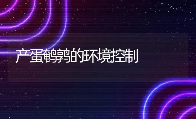 产蛋鹌鹑的环境控制 | 动物养殖学堂