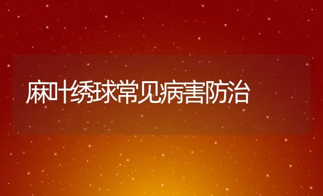 麻叶绣球常见病害防治 | 动物养殖学堂