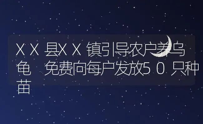 XX县XX镇引导农户养乌龟 免费向每户发放50只种苗 | 动物养殖教程