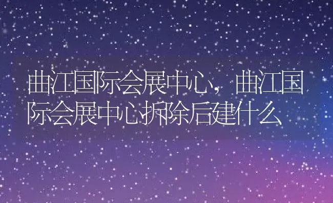 曲江国际会展中心,曲江国际会展中心拆除后建什么 | 宠物百科知识