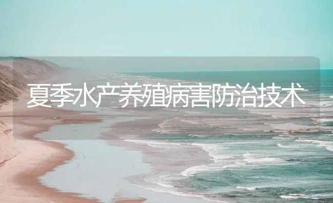 夏季水产养殖病害防治技术 | 海水养殖技术