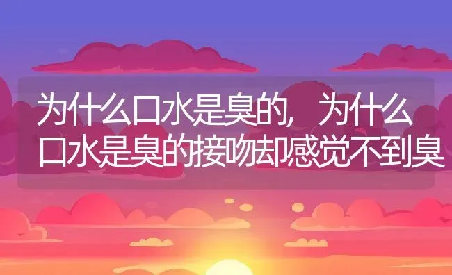 为什么口水是臭的,为什么口水是臭的接吻却感觉不到臭 | 宠物百科知识