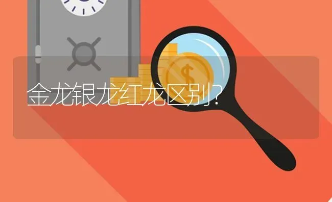 金龙银龙红龙区别？ | 鱼类宠物饲养