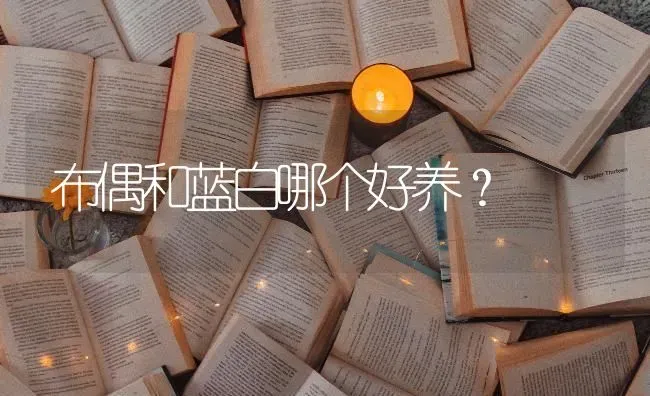 布偶和蓝白哪个好养？ | 动物养殖问答