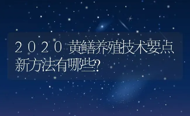 2020黄鳝养殖技术要点新方法有哪些? | 动物养殖百科