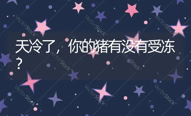 天冷了，你的猪有没有受冻？ | 动物养殖饲料