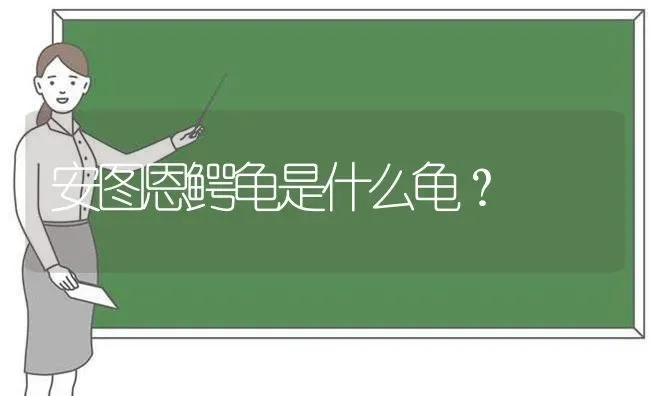 安图恩鳄龟是什么龟？ | 动物养殖问答