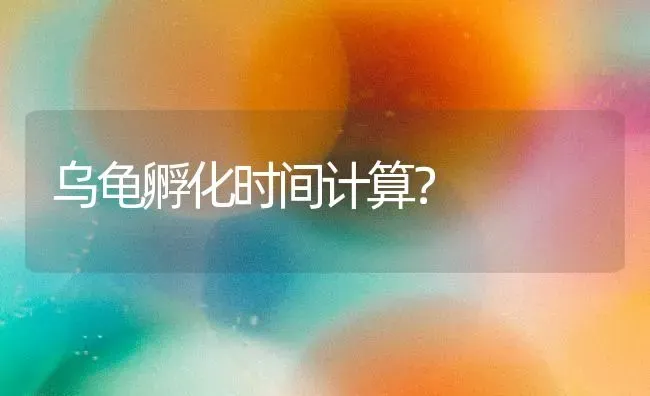 乌龟孵化时间计算？ | 动物养殖问答