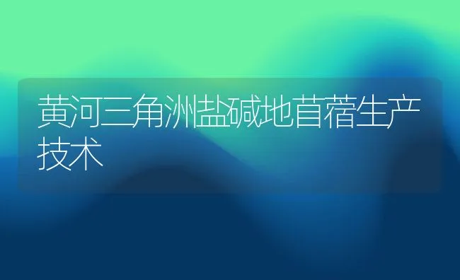 黄河三角洲盐碱地苜蓿生产技术 | 动物养殖饲料