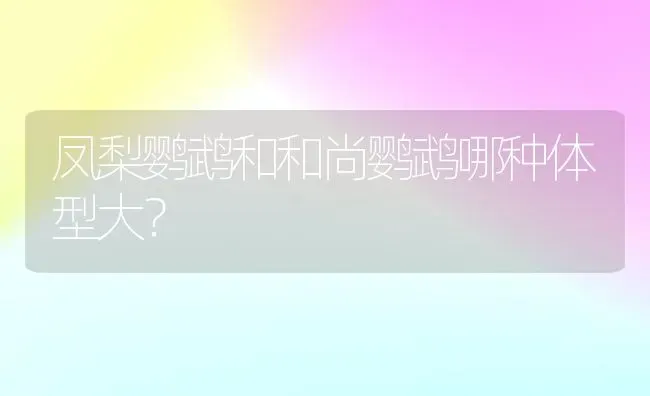 凤梨鹦鹉和和尚鹦鹉哪种体型大？ | 动物养殖问答