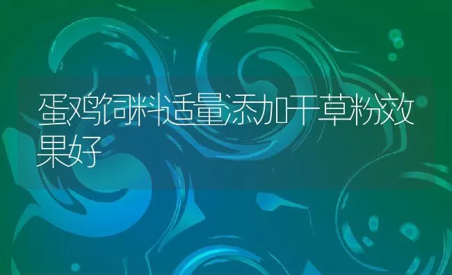 蛋鸡饲料适量添加干草粉效果好 | 动物养殖饲料