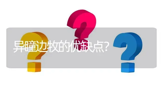 异瞳边牧的优缺点？ | 动物养殖问答