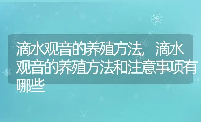 滴水观音的养殖方法,滴水观音的养殖方法和注意事项有哪些 | 宠物百科知识