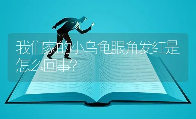 我们家的小乌龟眼角发红是怎么回事？ | 动物养殖问答