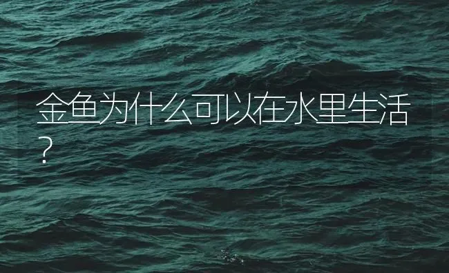 孔雀鱼快生了可是母鱼快死了我给小鱼拿出来了能活吗？ | 鱼类宠物饲养