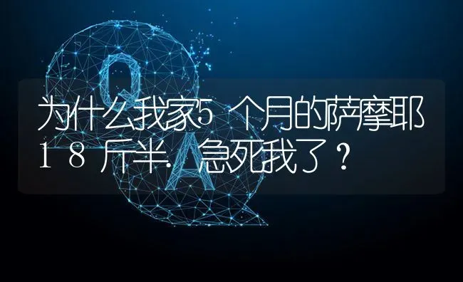 为什么我家5个月的萨摩耶18斤半.急死我了？ | 动物养殖问答