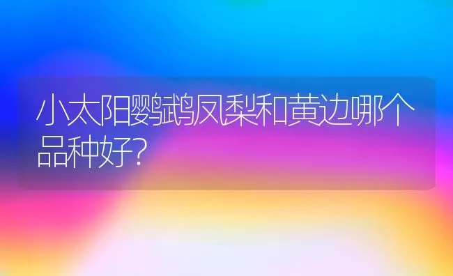 小太阳鹦鹉凤梨和黄边哪个品种好？ | 动物养殖问答