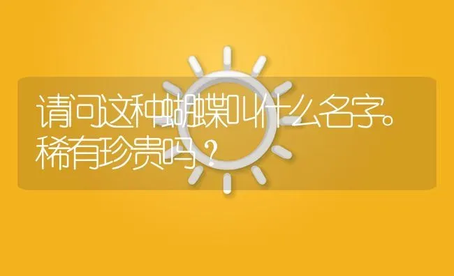 请问这种蝴蝶叫什么名字。稀有珍贵吗？ | 鱼类宠物饲养