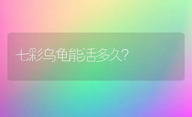 怎么知道小狗有没有内伤？ | 动物养殖问答