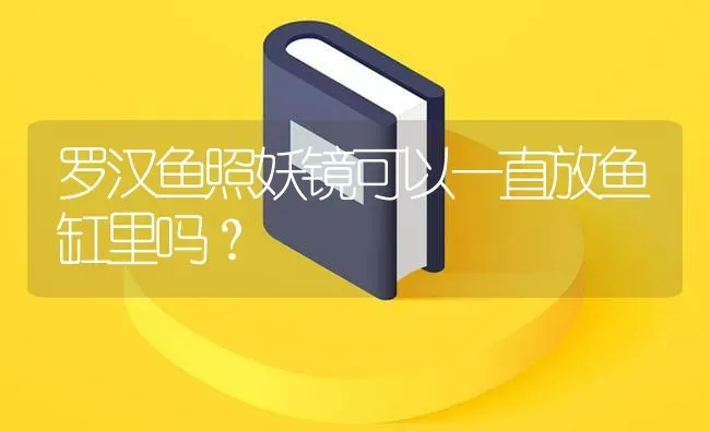 罗汉鱼照妖镜可以一直放鱼缸里吗？ | 鱼类宠物饲养