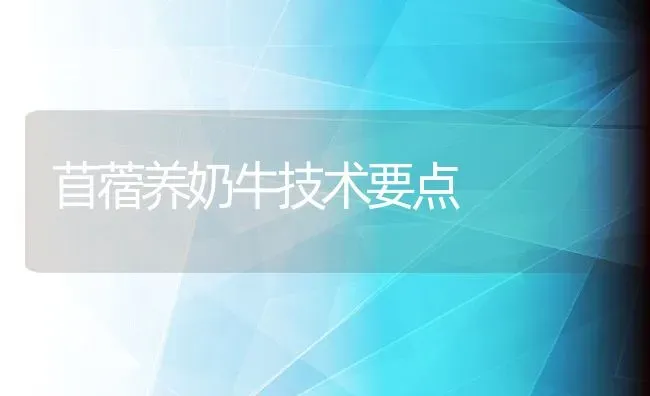 苜蓿养奶牛技术要点 | 动物养殖教程