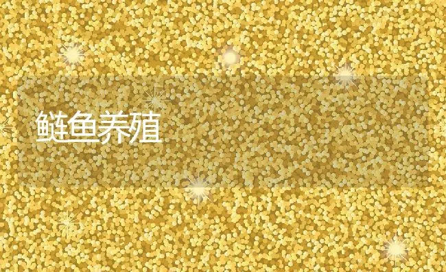 鲢鱼养殖 | 动物养殖饲料