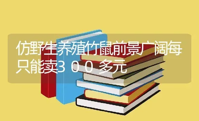 仿野生养殖竹鼠前景广阔每只能卖300多元 | 动物养殖百科