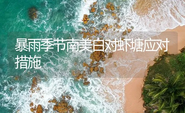 暴雨季节南美白对虾塘应对措施 | 海水养殖技术