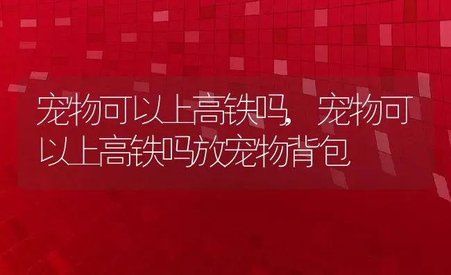 宠物可以上高铁吗,宠物可以上高铁吗放宠物背包 | 宠物百科知识