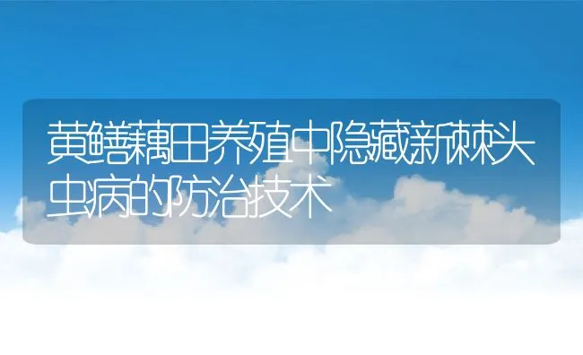 黄鳝藕田养殖中隐藏新棘头虫病的防治技术 | 动物养殖饲料