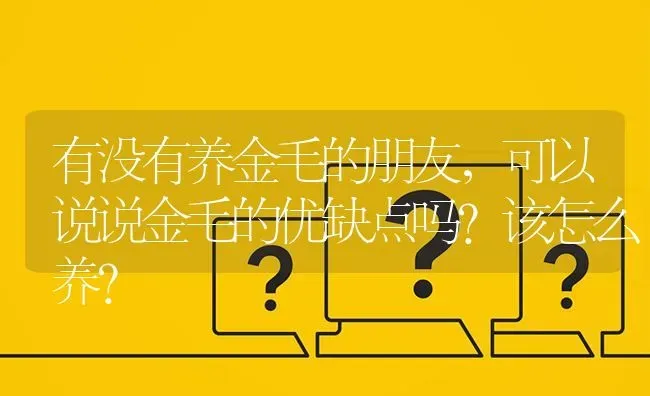 有没有养金毛的朋友，可以说说金毛的优缺点吗？该怎么养？ | 动物养殖问答