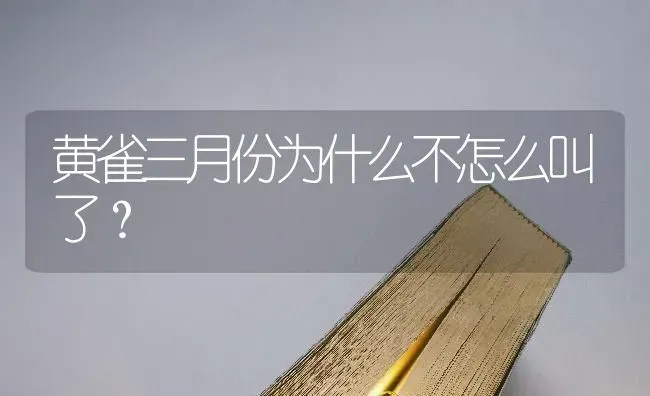 黄雀三月份为什么不怎么叫了？ | 动物养殖问答