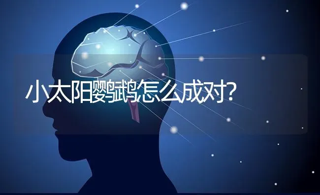 小太阳鹦鹉怎么成对？ | 动物养殖问答